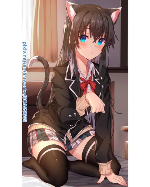 file_81213521