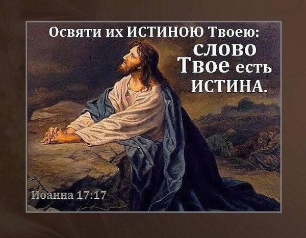 image (7)