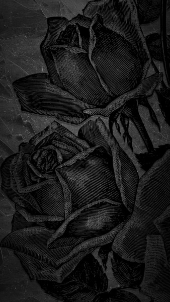 original 3240x5760