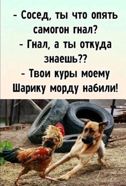 file_103264106