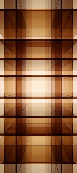 adapted 1080x2408 1769574560