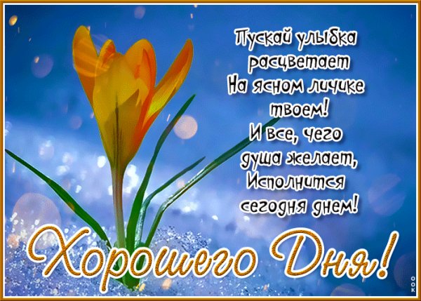 file_99130561