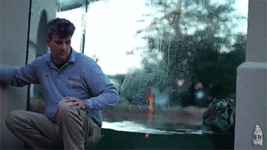 gifs 06