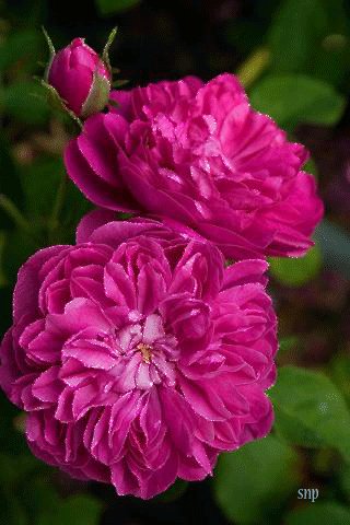 file_53238609