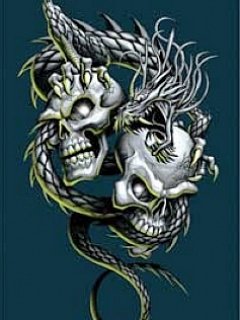 skull 14