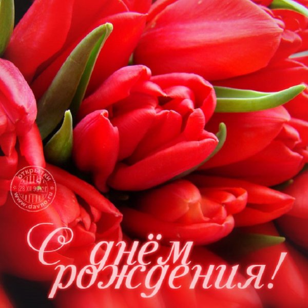 С днём рождения!!!