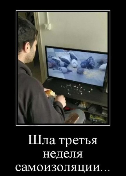 file_81343247