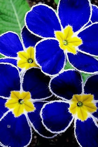 file_63130257