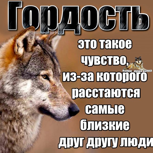 Гордость
