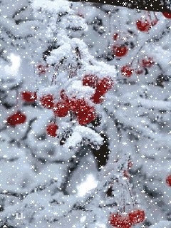 пейзаж