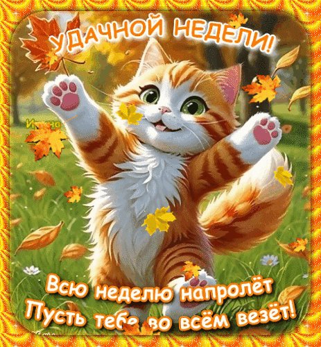 Анимированная открытка удачной недели