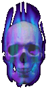 skull-315