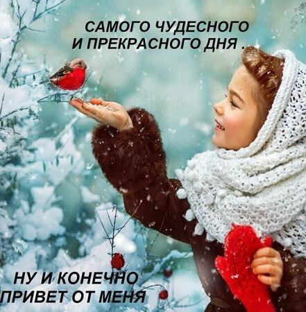 IMG 20190103 595301