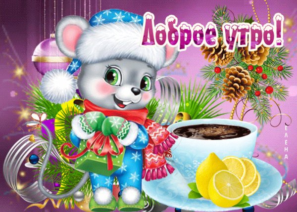 file_80087574