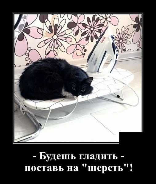 Будешь гладить, поставь на ШЕРСТЬ