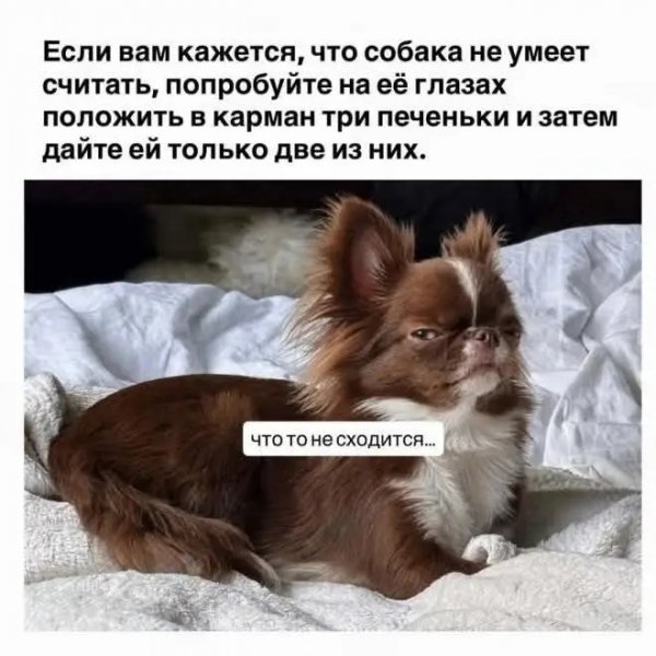 file_102826833