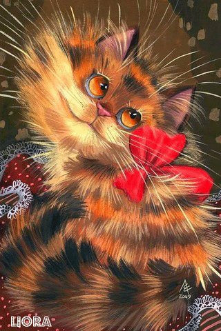 file_79768211