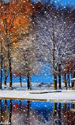 Winter