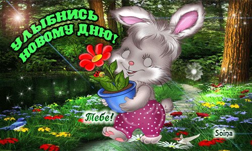 IMG 20180318 111556 69
