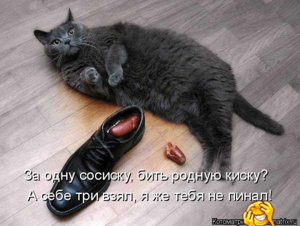 file_76244269
