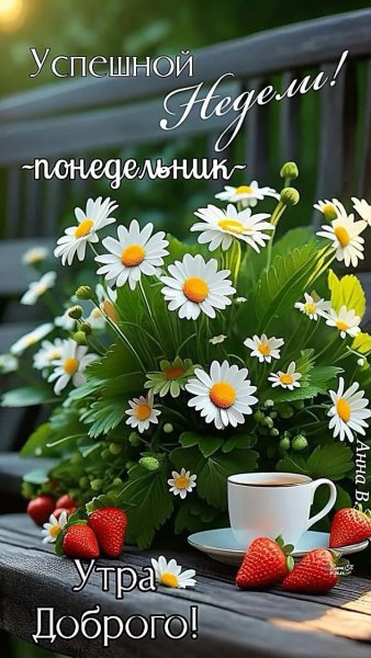 IMG-20260608-WA0005