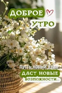 IMG-20250315-WA0003