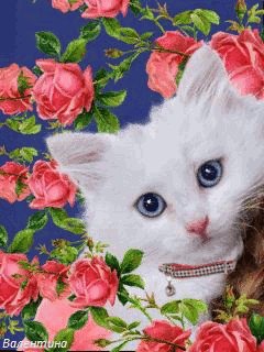 file_59622354