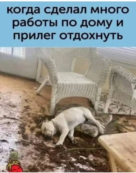 file_103412484