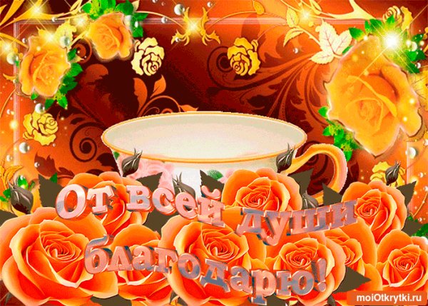 file_75779467