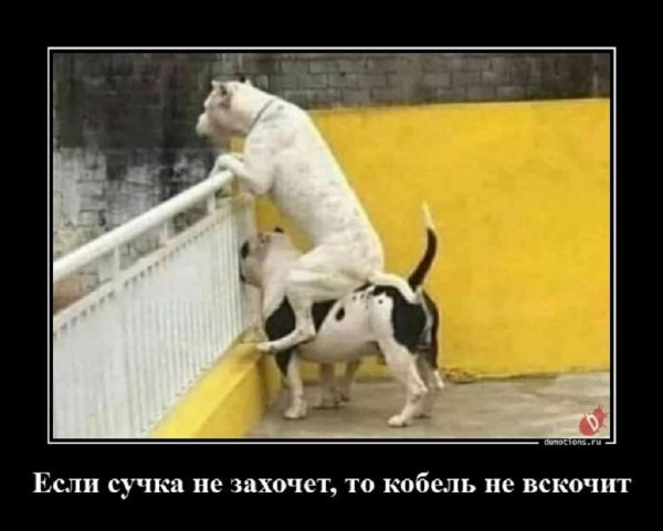 Верная пословица