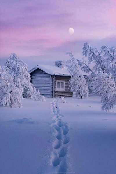 file_94651136