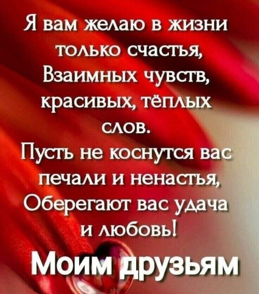 IMG 20260425 221936