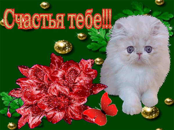 СЧАСТЬЯ ТЕБЕ