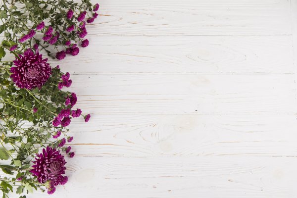 Wood-purple-flowers-belyi-fon-tsvety-buket-komrozitsiia