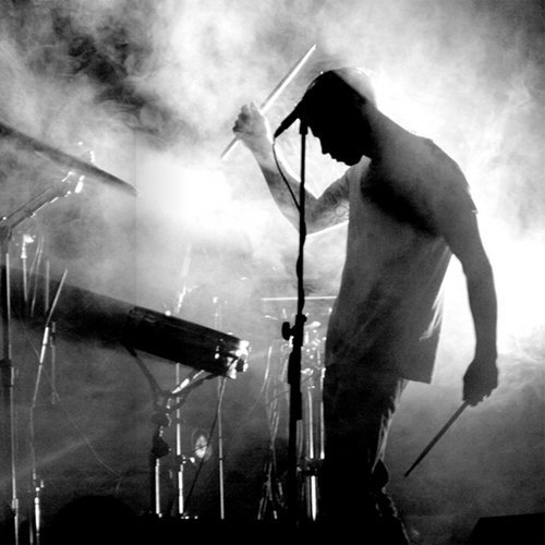 Дельфины - Звуки природы