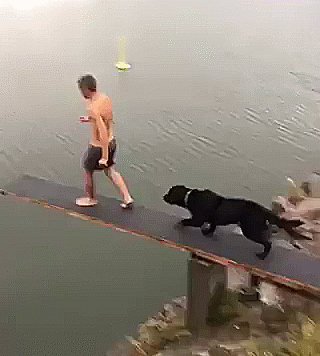 ))