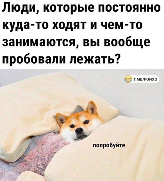 IMG 20251229 180549 585