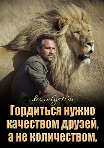 file_91853580