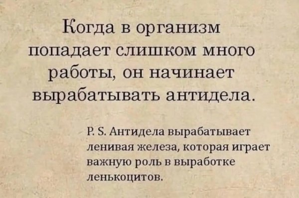 file_99867983