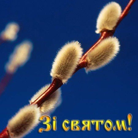 Zi svjatom