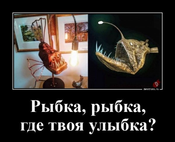 Рыбка, рыбка, где твоя улыбка?