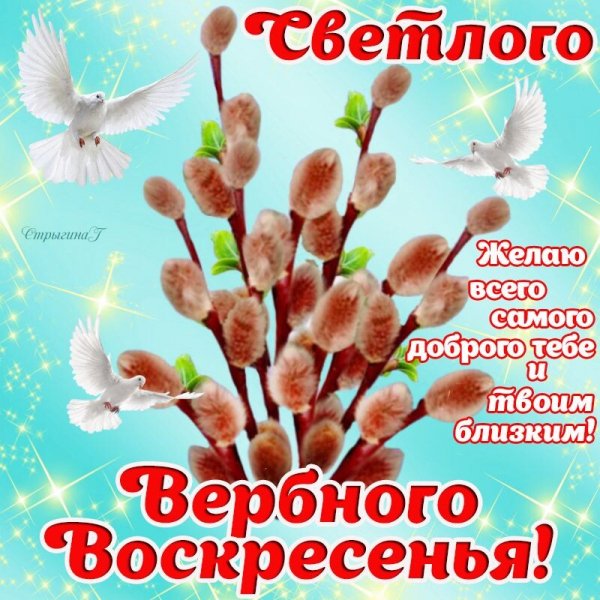 IMG 20210425 215355