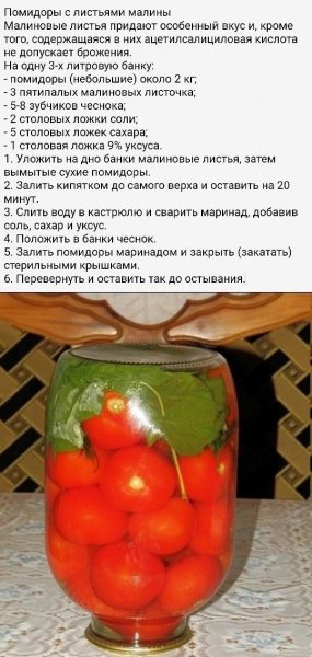 file_97309569