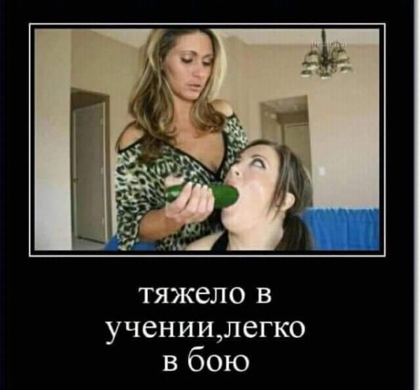 FB IMG 1591451469562