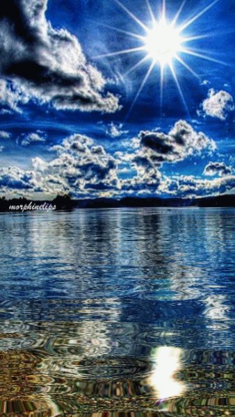 file_50673988