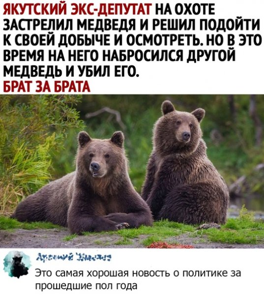 file_81963841