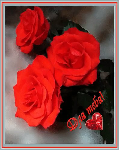 IMG 20160630 011535 200