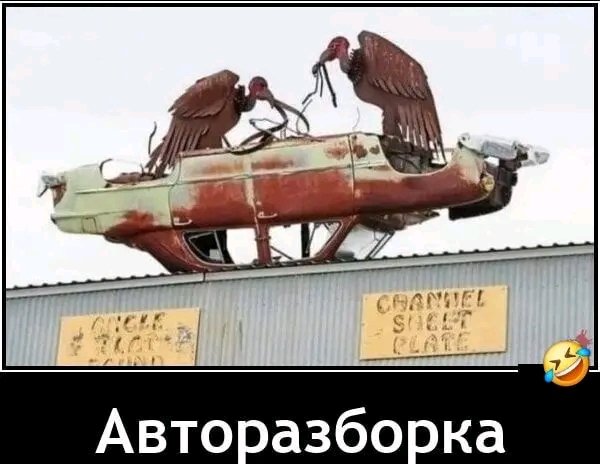 file_103153365