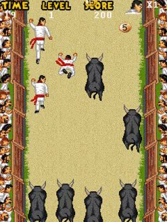 Pamplona Bull Run