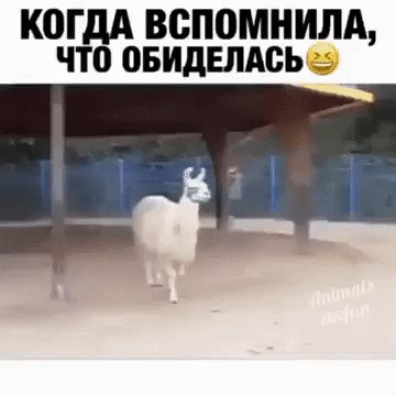 IMG 20221119 234341